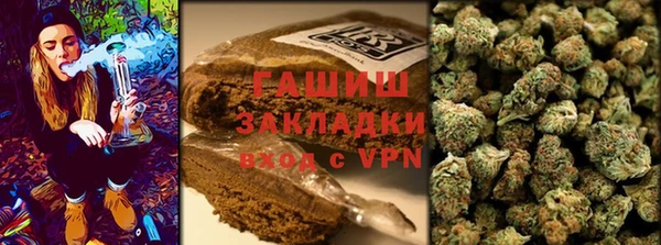 гидра Володарск