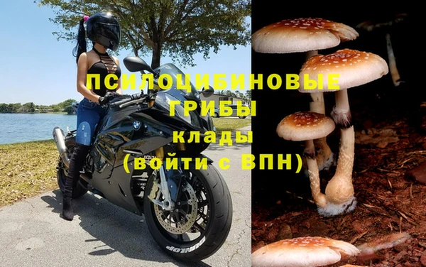 крисы Волосово
