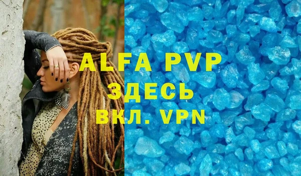 гидра Володарск