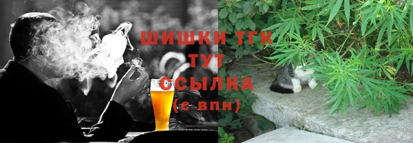 гидра Володарск